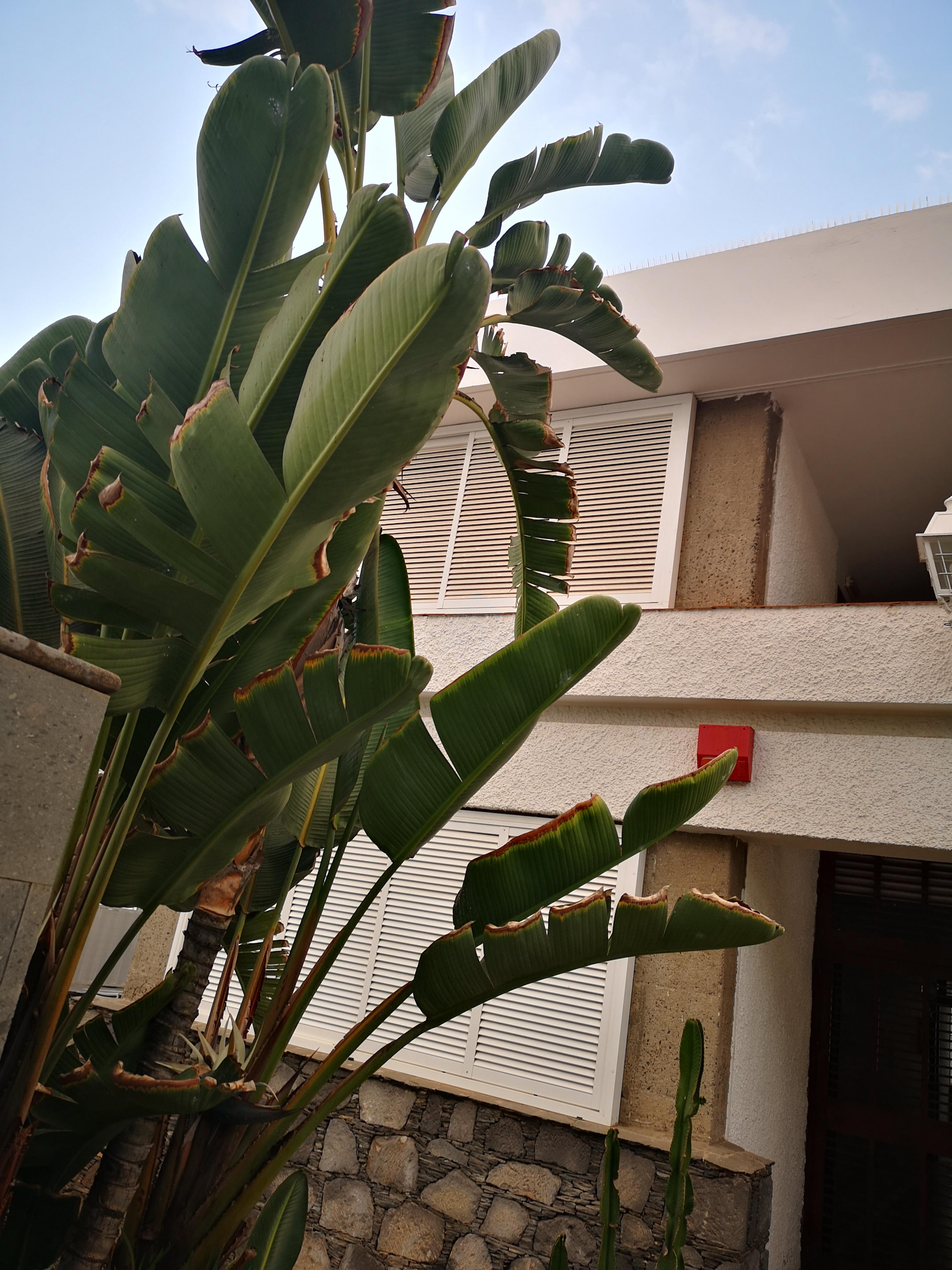 Apartamentos Tamara Maspalomas  Exterior foto