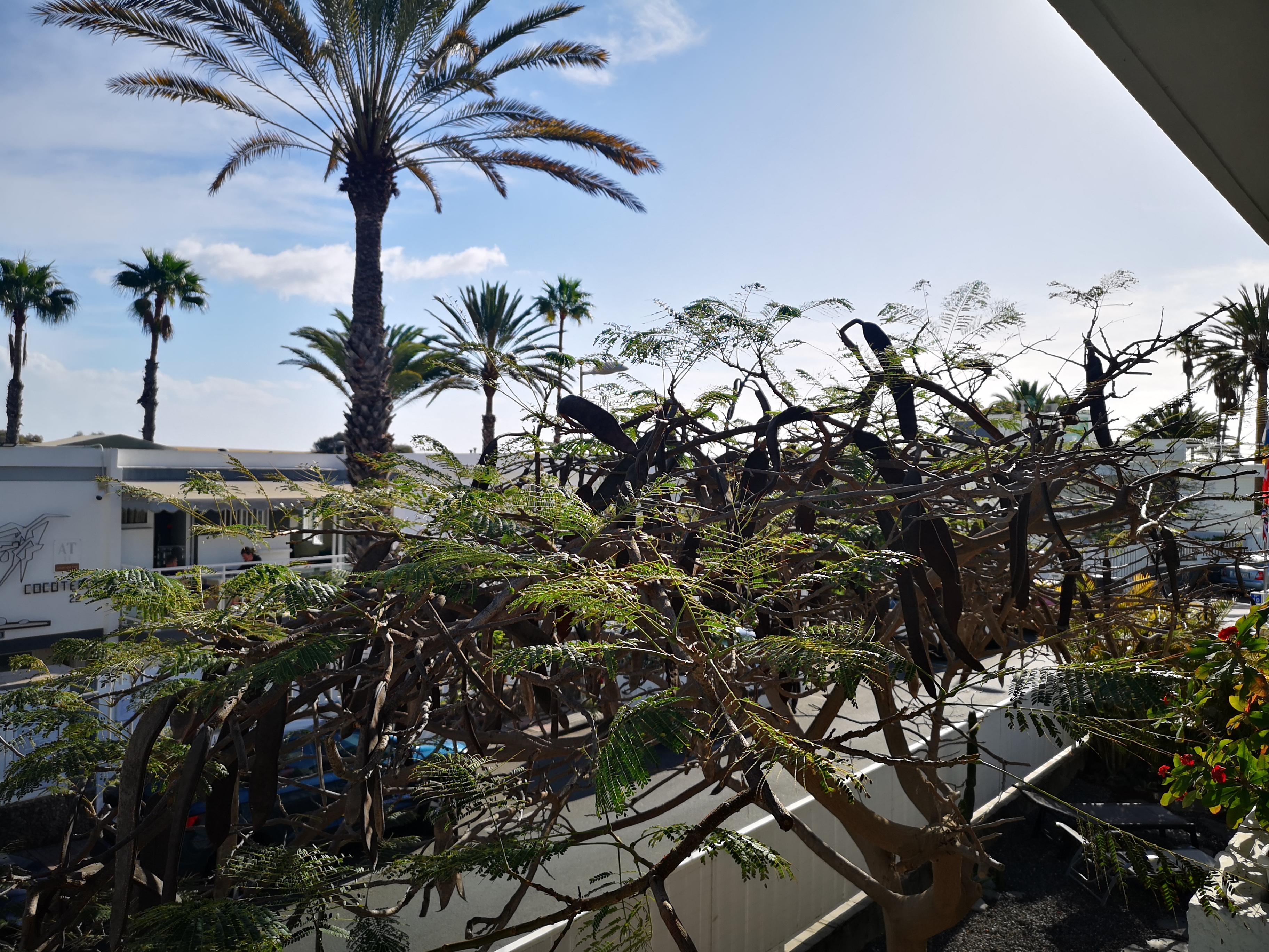 Apartamentos Tamara Maspalomas  Exterior foto